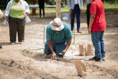 Gordan-Hill-Planting