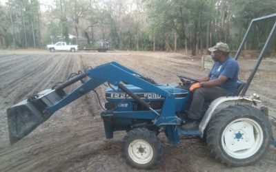 African American Church Community Garden and Food Security Project in South Carolina