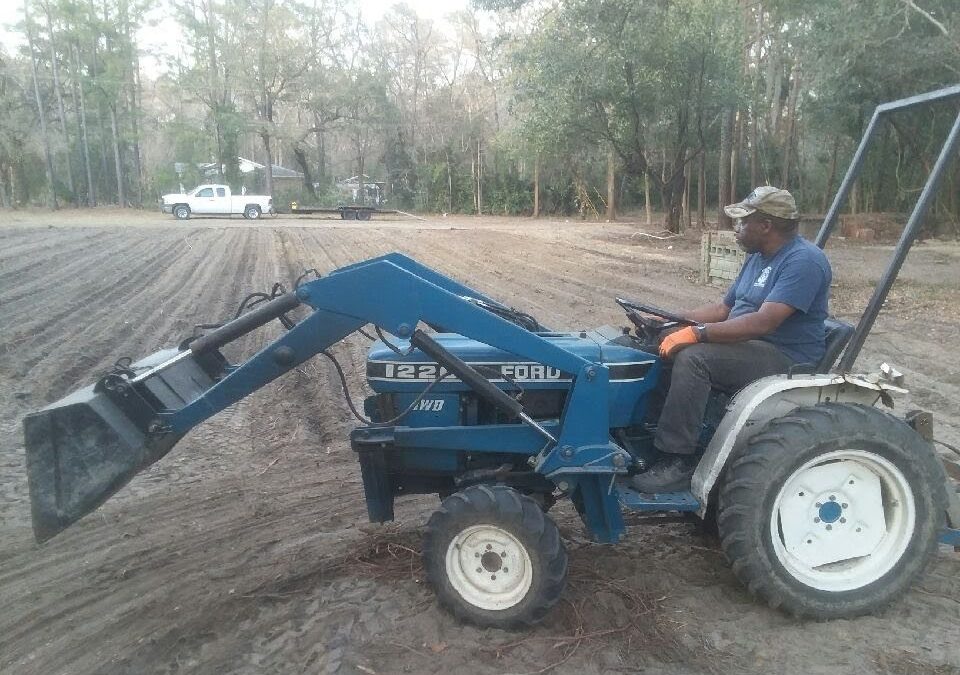 African American Church Community Garden and Food Security Project in South Carolina